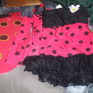 costume set Ladybug